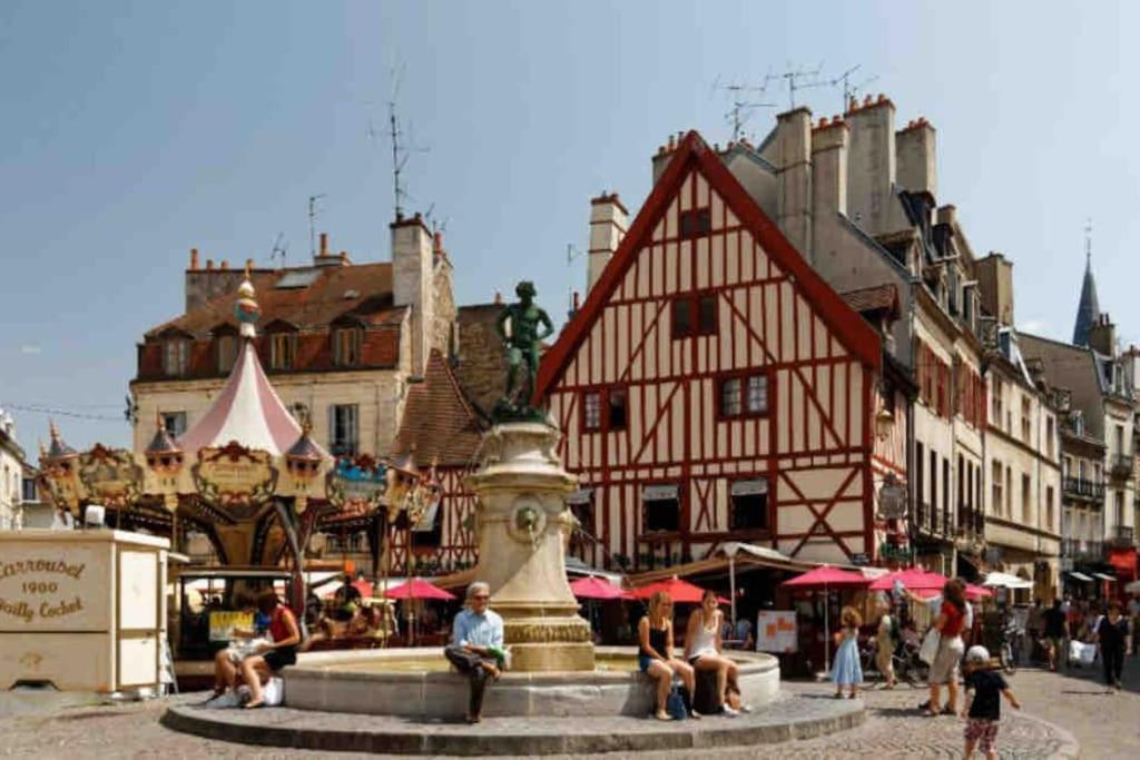 Cosy Chouette Dijon